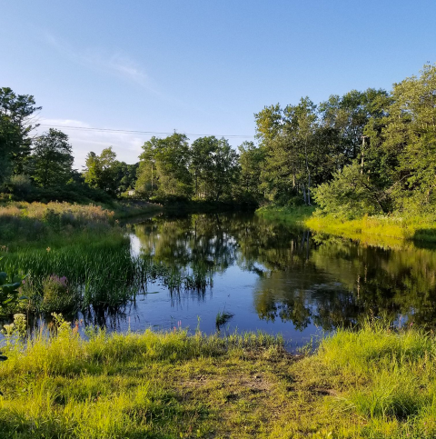 The Exeter River Trail In New Hampshire Has Plentiful Peace And Lovely Water Views