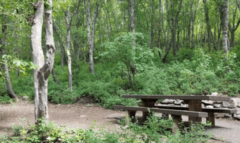 Get Away From It All At This Campground On The Alpine Scenic Loop In Utah