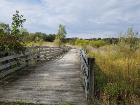 9 Easy Hikes To Add To Your Outdoor Bucket List In Metro Detroit