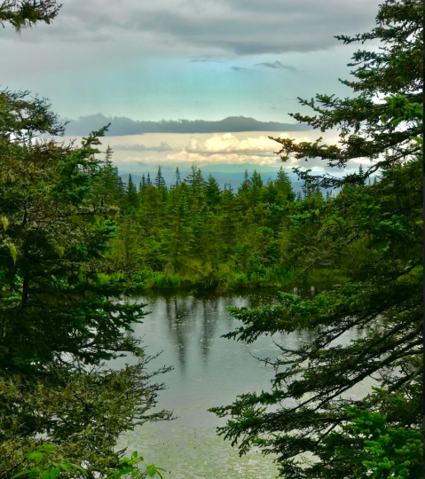 Skylight Pond Trail In Vermont Is So Hidden Most Locals Don't Even Know About It