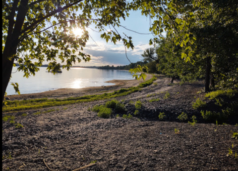 Find Sandy Beaches Next Summer At Alburgh Dunes State Park In Vermont