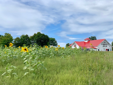 Visit The Stunning Applecrest Farms, The Oldest & Most Prestigious Apple Farm In New Hampshire