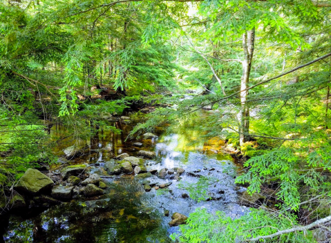 Pillsbury State Park Is A Little-Known New Hampshire Destination With An Otherworldly Landscape