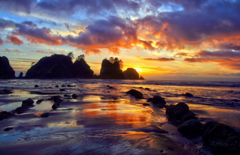 Shi Shi Beach Is A Little-Known Washington Destination With An Otherwordly Landscape