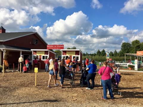 Gull Meadow Is A Beautiful Fall Farm Hiding In Plain Sight In Michigan That You Need To Visit This Autumn