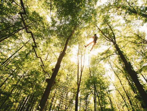 Take A Ride On The Longest Zipline In Delaware At Lums Pond State Park