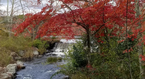 There’s A Secret Waterfall In Rhode Island Known As Kenyon Mill Falls, And It’s Worth Seeking Out