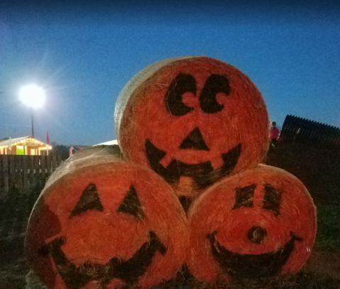 Shelby Corn Maze Is A Beautiful Fall Farm Hiding In Plain Sight In North Carolina That You Need To Visit This Autumn