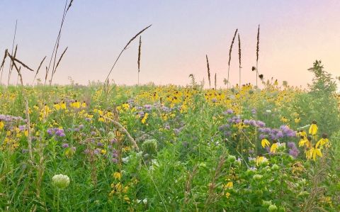 Cedar Bluffs Natural Area In Iowa Is So Hidden Most Locals Don't Even Know About It