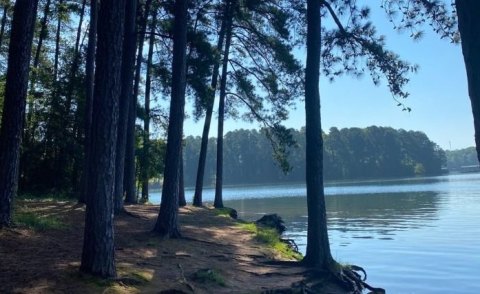 The Crystal Clear Waters At Lake Hartwell In South Carolina Are Perfect To Explore On A Summer Day