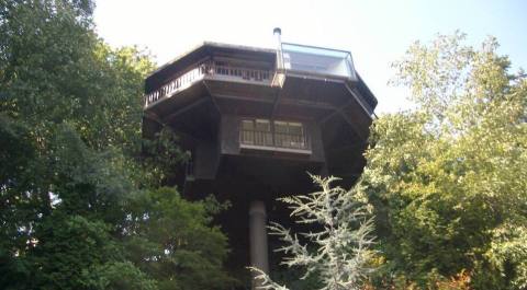 Stay Overnight At This Spectacularly Unconventional Treehouse In Oregon