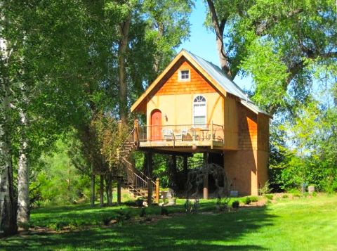 Stay Overnight At This Spectacularly Unconventional Treehouse In New Mexico