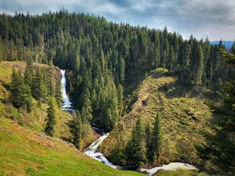 A Trail Full Of Forest Views By Elk Creek Will Lead You To A Waterfall Paradise In Idaho