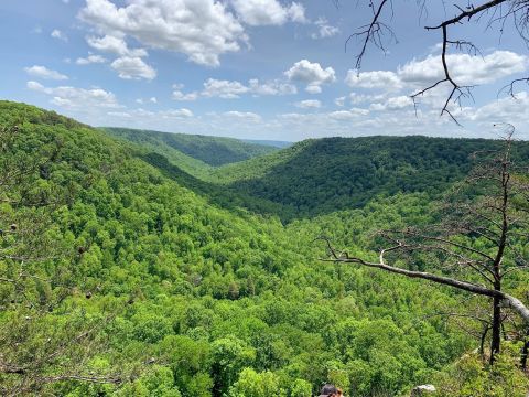 Fiery Gizzard Trail Is A Challenging Hike In Tennessee That Will Make Your Stomach Drop