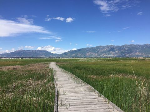 The Great Salt Lake Shorelands Preserve Trail In Utah Leads To Some Of The Most Scenic Views In The State