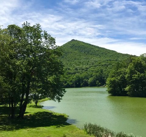 The Abbott Lake Trail Might Be One Of The Most Beautiful Short-And-Sweet Hikes To Take In Virginia