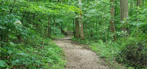 The Hemlock Cliffs National Scenic Trail Might Be One Of The Most Beautiful Short-And-Sweet Hikes To Take In Indiana