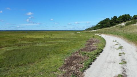 Explore The Lesser Known Side Of Massachusetts On The Sandy Neck Nature Trail