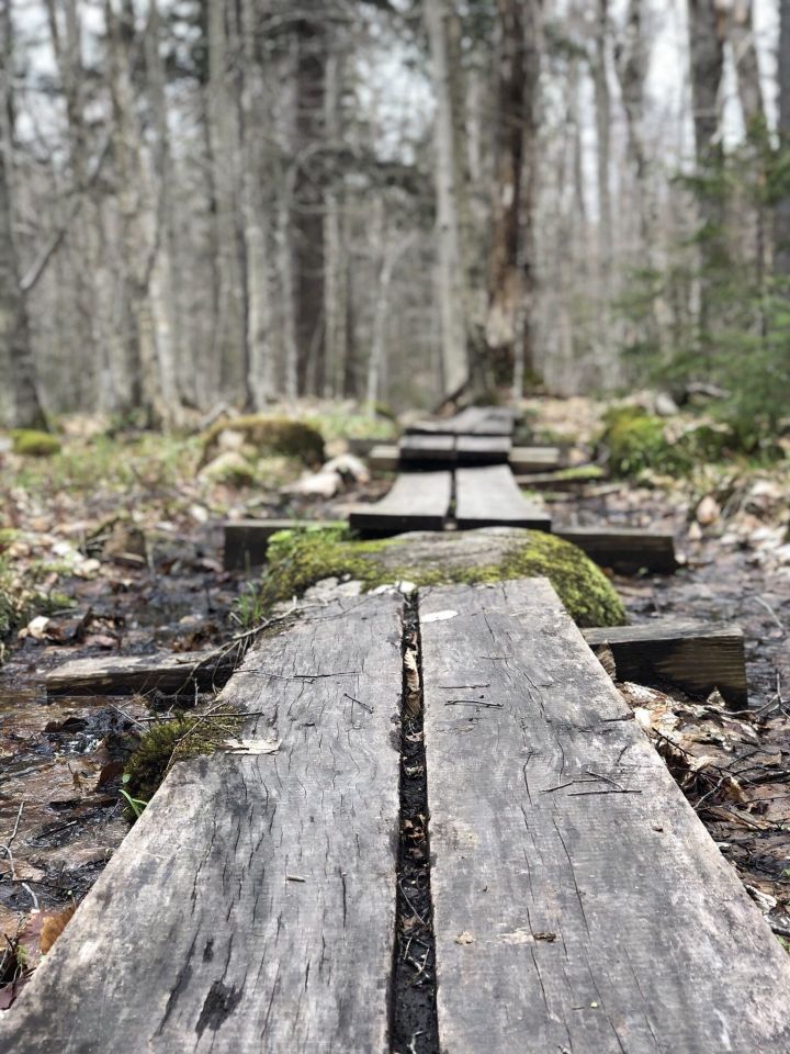 Cranberry Lake campground in new york