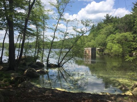 Trek Between Two Ponds On This Beautiful Loop Hike In Massachusetts' Lynn Woods Reservation