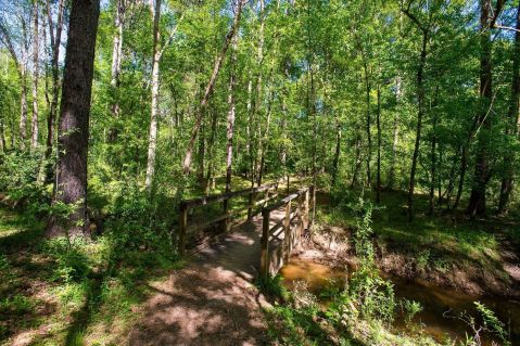 Admire The Historic Bridge On The Jones Bridge Trail, An Easy 4-Mile Hike In Georgia