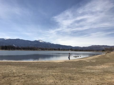 Dead Fish Are Washing Ashore In Colorado Springs, Colorado Due To A Bloom Of Blue-Green Algae