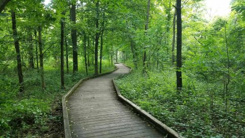 9 Low-Key Hikes Around Metro Detroit With Amazing Payoffs