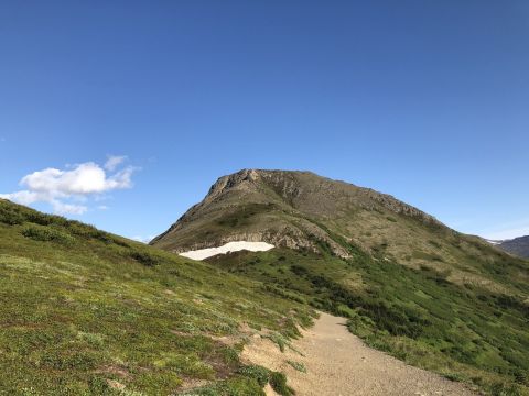 The Blueberry Loop Trail Might Be One Of The Most Beautiful Short-And-Sweet Hikes To Take In Alaska