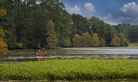 Martin Dies, Jr. State Park In Texas Is So Hidden Most Locals Don't Even Know About It