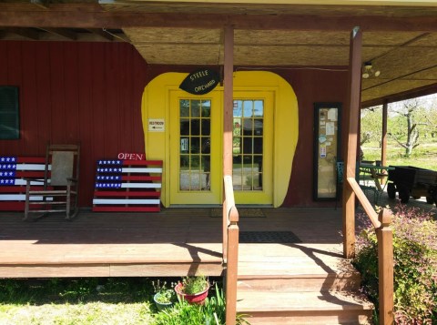 Start Planning For A Trip To Steele Orchard In Alabama This Fall For Fried Apple Pies Galore