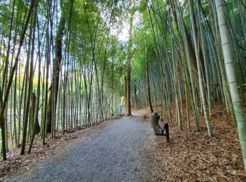 Wilderness Park In Alabama Is So Hidden Most Locals Don't Even Know About It