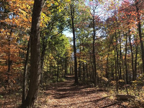 Few Ohioans Know That Shawnee State Park Was The First State Park In Ohio