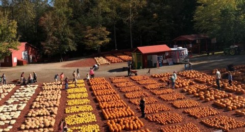 Burt's Pumpkin Farm Is A Beautiful Fall Farm Hiding In Plain Sight In Georgia That You Need To Visit This Autumn