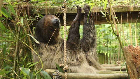 Admission-Free, The Salisbury Zoo In Maryland Is The Perfect Day Trip Destination