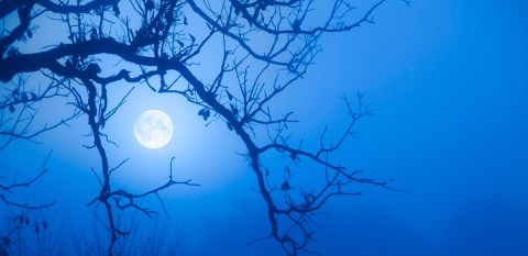 A Rare Halloween Blue Moon Will Appear In Kentucky In 2020 So Be Prepared