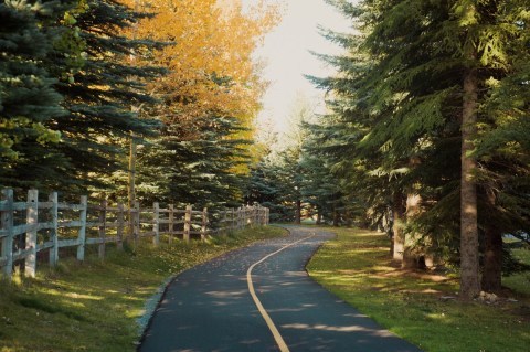 The Wood River Trail Is A 20-Mile Path In Idaho That Winds Alongside Rivers, Meadows, And Mountain Towns