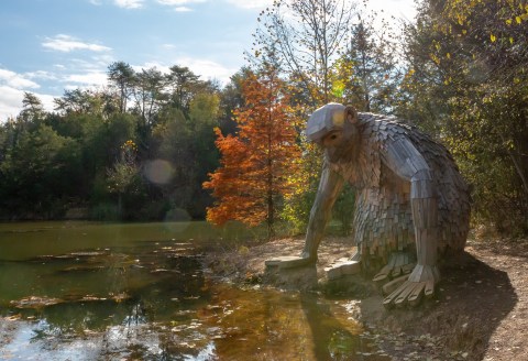 Stroll Under Vibrant Fall Colors Along The Paths Of Bernheim Arboretum In Kentucky