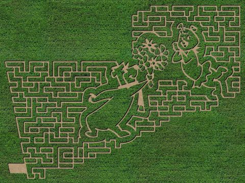 Get Lost In This Awesome 7-Acre Corn Maze In South Dakota This Autumn