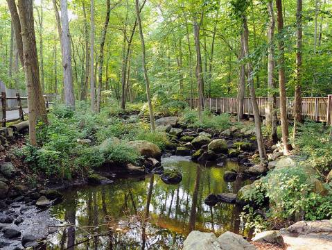 An Accessible Boardwalk Trail In Connecticut, The Wheels In The Woods Trail Is Full Of Enchanting Views