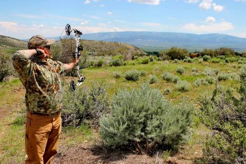 Try Your Hand At Archery At The 3-D Archery Course At Idaho's Castle Rocks State Park