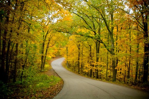 If Fall Is Your Favorite Season, You'll Want To Visit Brown County State Park In Indiana