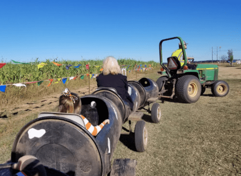 Nothing Says Fall Is Here More Than A Visit To Louisiana's Charming DixieMaze Farm