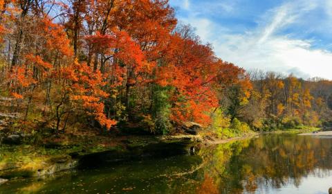 The Rock Formations At Turkey Run State Park In Indiana Are A Geological Wonder