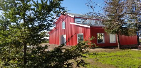 Taste Delicious Wine And Cheese While Playing With Goats At Spenker Family Farm In Northern California