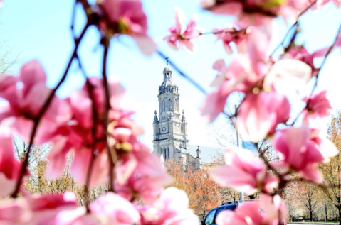 The Church Of The Immaculate Conception Is A Pretty Place Of Worship In Indiana