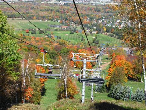 Find Out When The Leaves Will Change Color In Wisconsin With This Interactive Fall Foliage Map