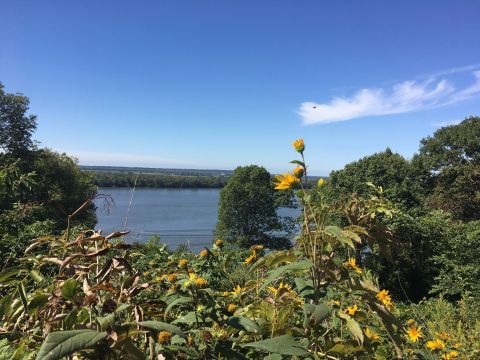 Wildflowers And Foliage Of All Colors Pave The Way On The Olin Nature Preserve Outer Loop Trail In Illinois