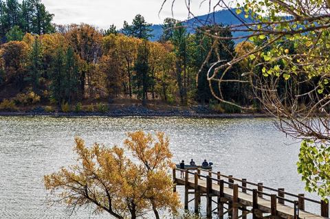 Experience The Fall Colors Like Never Before With A Stay At The Private Forest Treehouse In Southern California