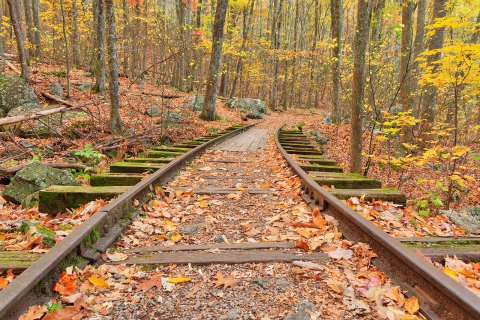 Follow An Old Logging Railroad To A Waterfall On This Enchanting Virginia Trail