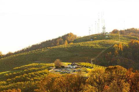 Carter Mountain Orchard Is Famous For Its Apple Cider Donuts, The Perfect Treat For Fall In Virginia